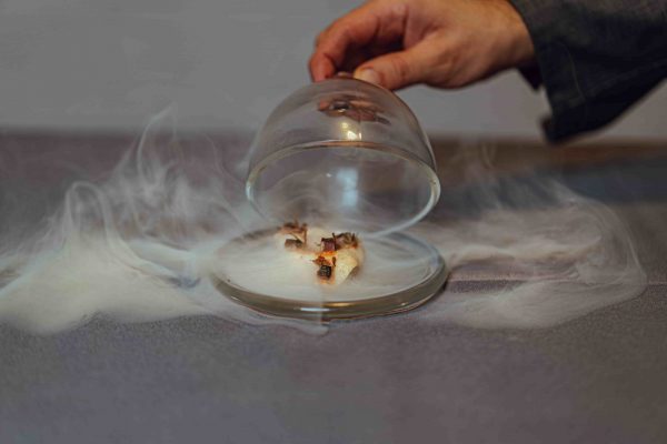 DSC02047-Copia1-min DSC02047-Copia1-min