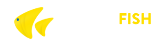 YellowFishTransfers